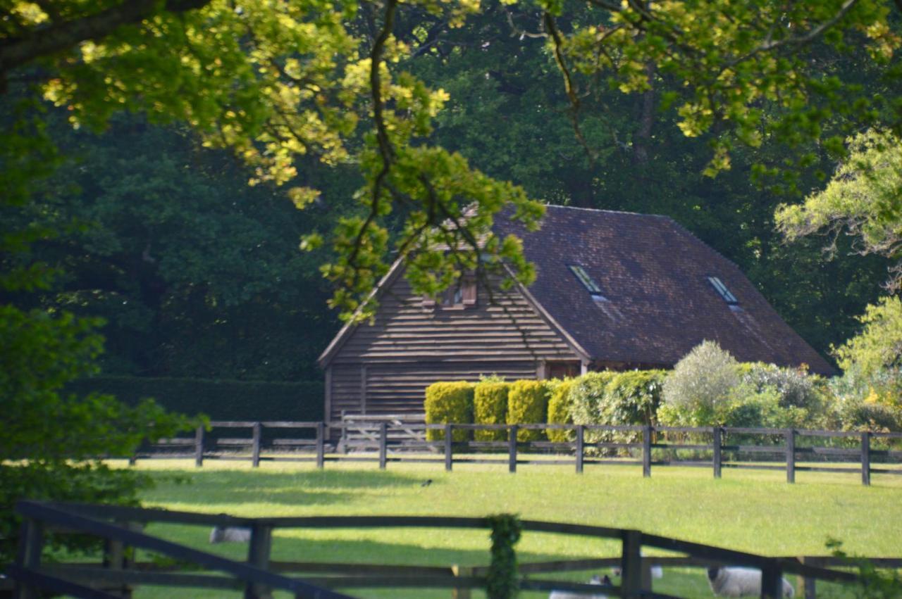 The Hideaway-South Downs National Park Apartamento Graffham Exterior foto