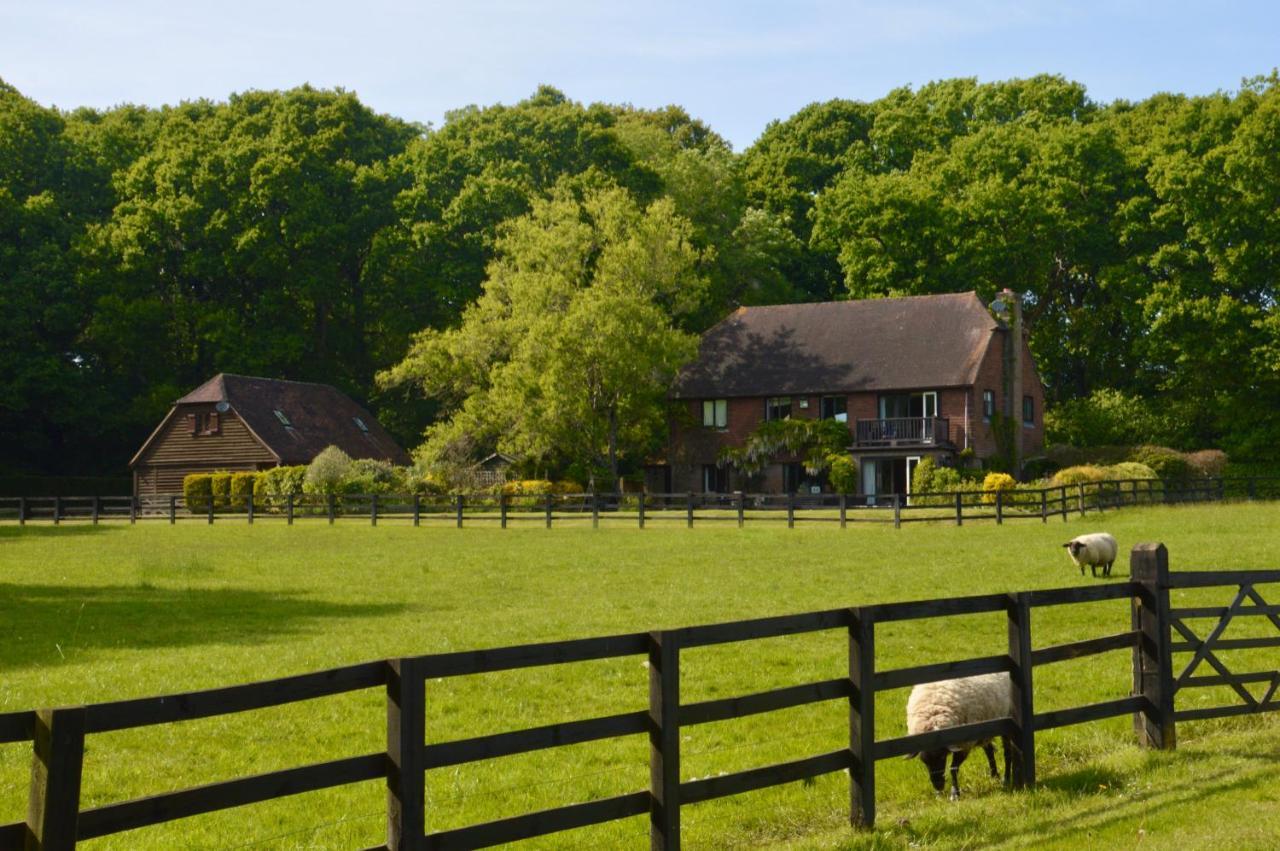 The Hideaway-South Downs National Park Apartamento Graffham Exterior foto